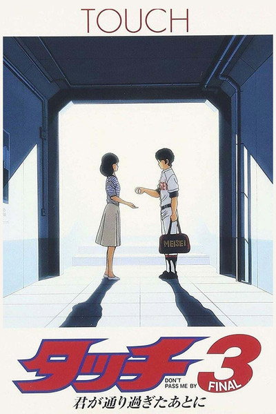 Póster de Touch 3: After You Passed By
