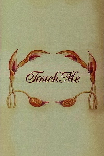 Póster de Touch Me