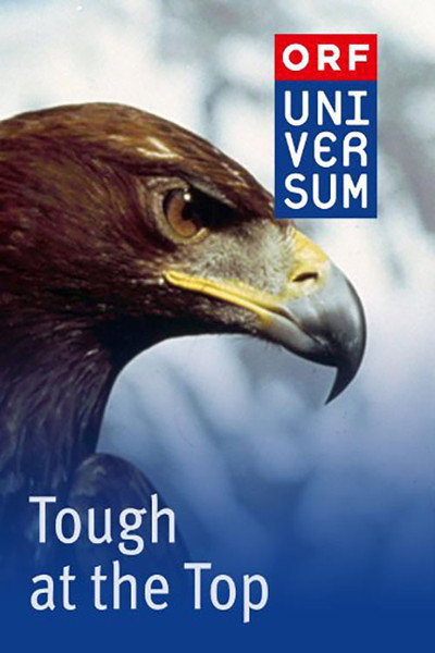 Póster de Tough at the Top