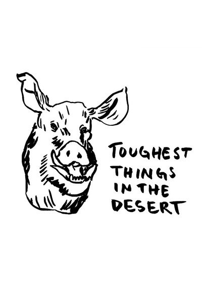 Póster de Toughest Things in the Desert