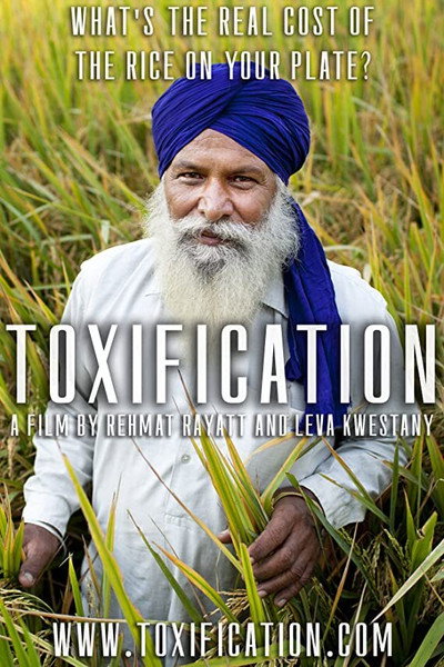 Póster de Toxification