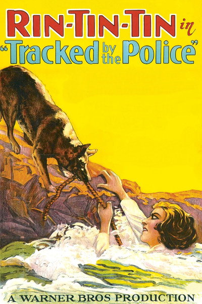 Póster de Tracked by the Police