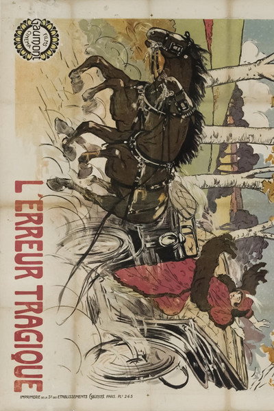 Póster de Tragic Error
