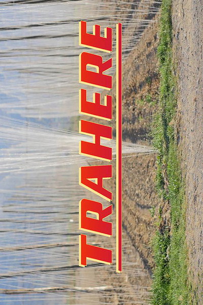 Póster de Trahere