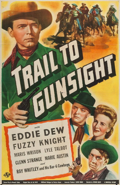Póster de Trail to Gunsight