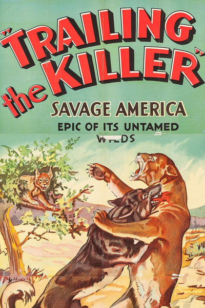 Póster de Trailing the Killer