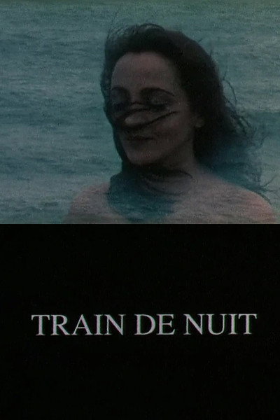 Póster de Train de nuit