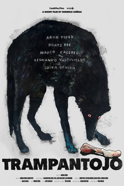 Póster de Trampantojo