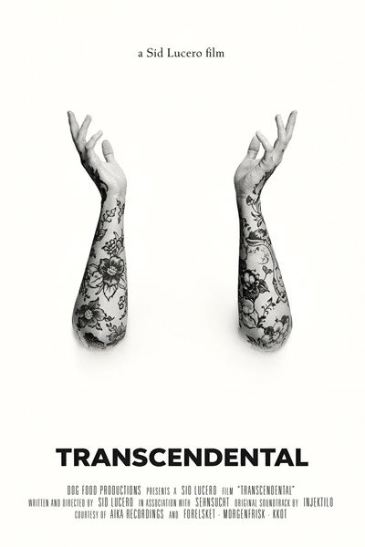 Póster de Transcendental