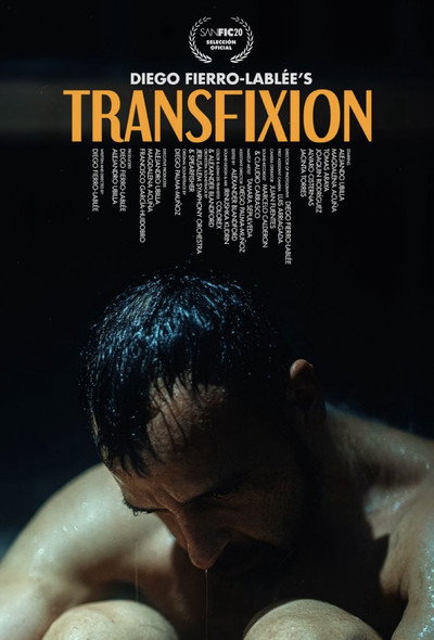 Póster de Transfixion