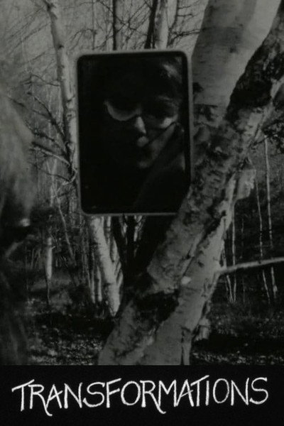 Póster de Transformations