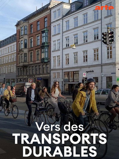 Póster de Transforming City Transport