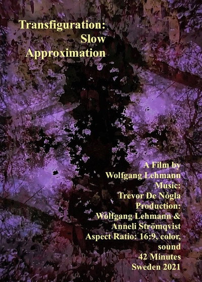 Póster de Transfromation - Slow Approximation