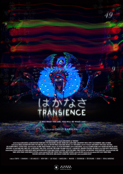 Póster de Transience