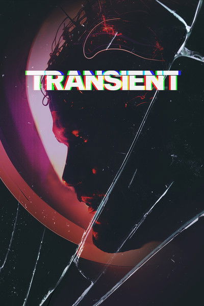 Póster de Transient