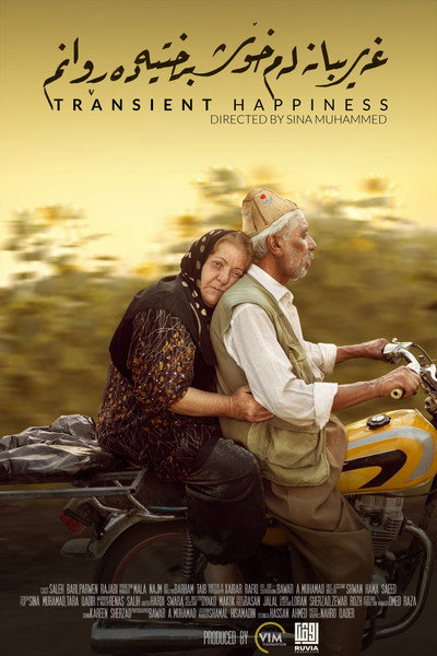 Póster de Transient Happiness