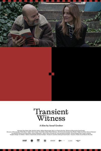 Póster de Transient Witness