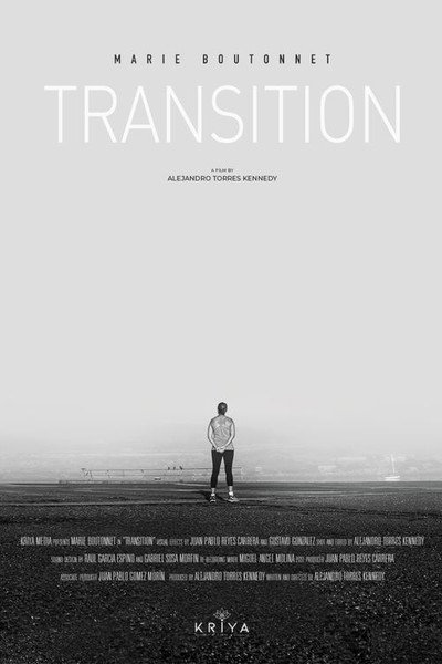 Póster de Transition