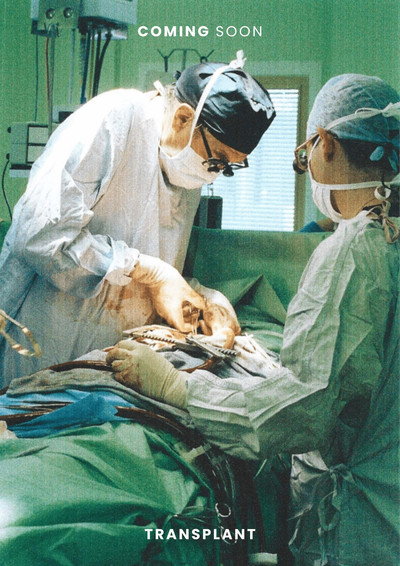 Póster de Transplant
