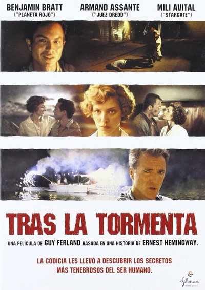 Póster de Tras la tormenta