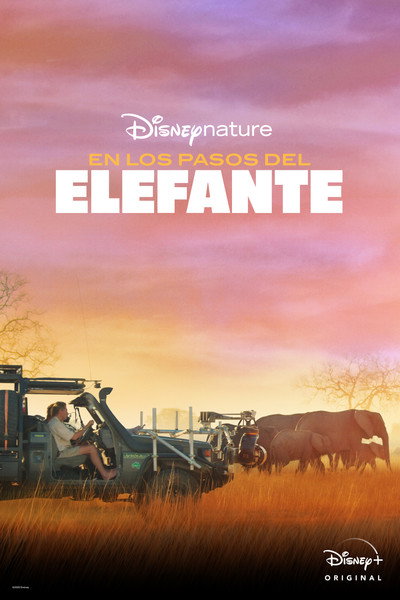 Póster de Tras los pasos del elefante
