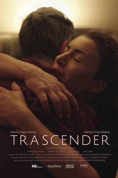 Póster de Trascender
