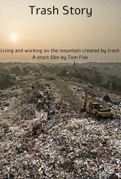 Póster de Trash Story