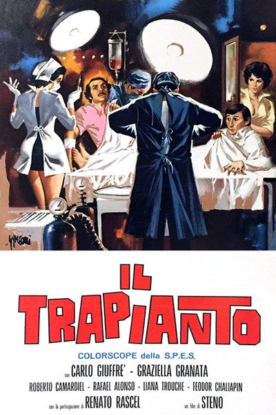 Póster de Trasplante a la italiana