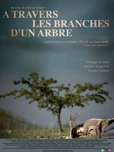 Póster de À travers les branches d'un arbre