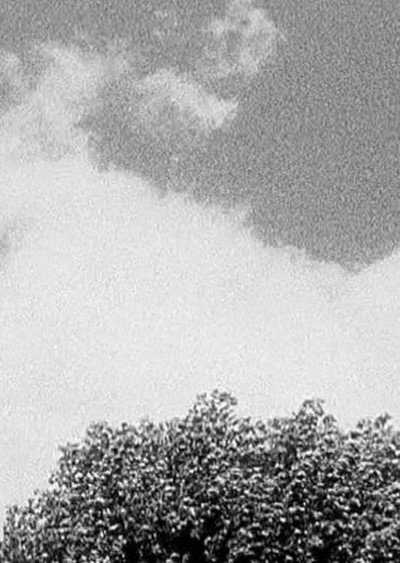 Póster de Tree & Cloud