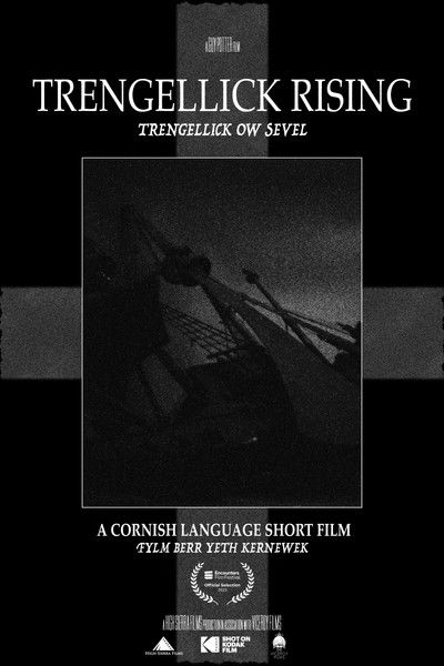 Póster de Trengellick Rising