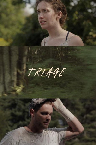 Póster de Triage