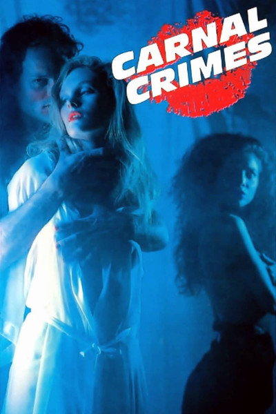 Póster de Triangulo criminal