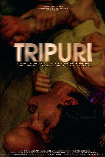 Póster de Trippin