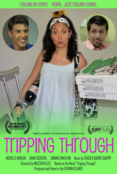 Póster de Tripping Through