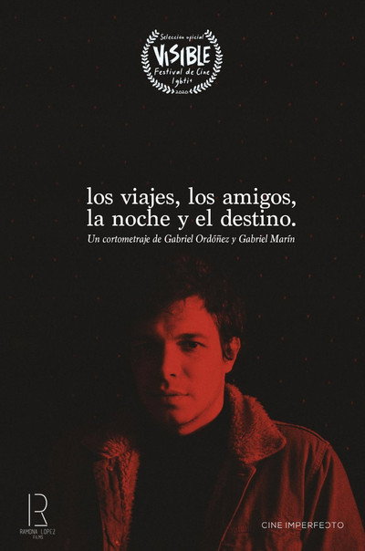 Póster de Trips, Friends, Night & Destiny