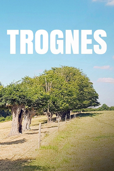 Póster de Trognes: Les arbres aux mille visages