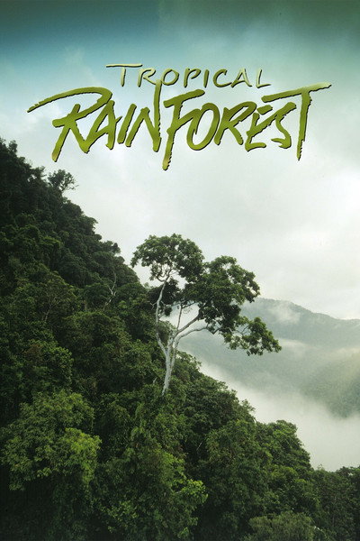 Póster de Tropical Rainforest