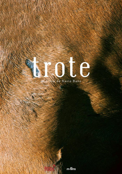 Póster de Trote