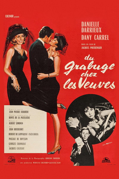 Póster de Trouble Among Widows