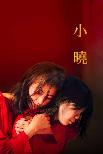 Póster de Trouble Girl