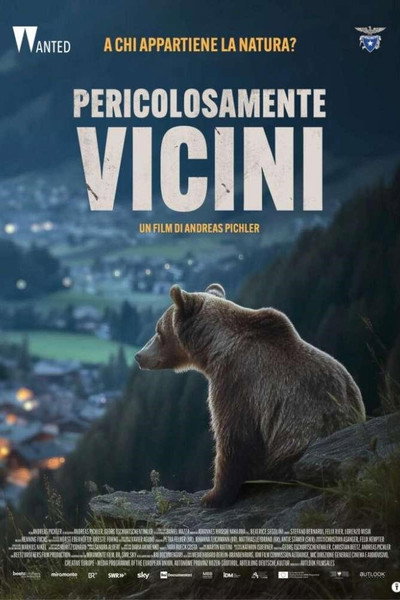 Póster de Troubled Bears