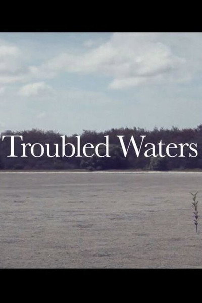 Póster de Troubled Waters