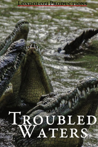 Póster de Troubled Waters