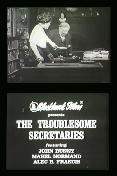 Póster de Troublesome Secretaries