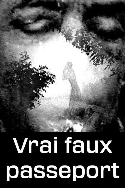 Póster de True False Passport