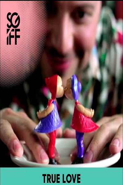 Póster de True Love