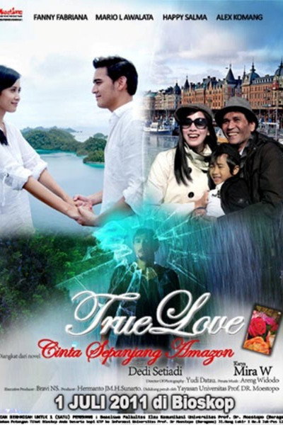 Póster de True Love