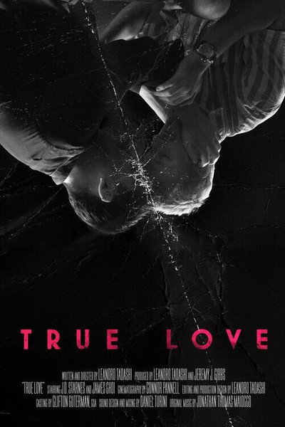 Póster de True Love