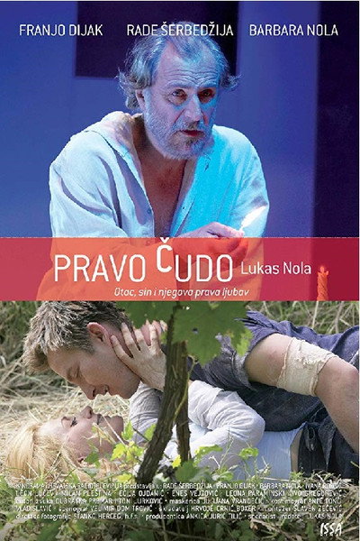 Póster de True Miracle